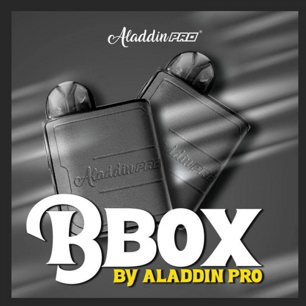 aladdin_bbox_grey