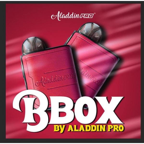 aladdin_bbox_red