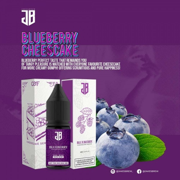 blueberry_cheesecake