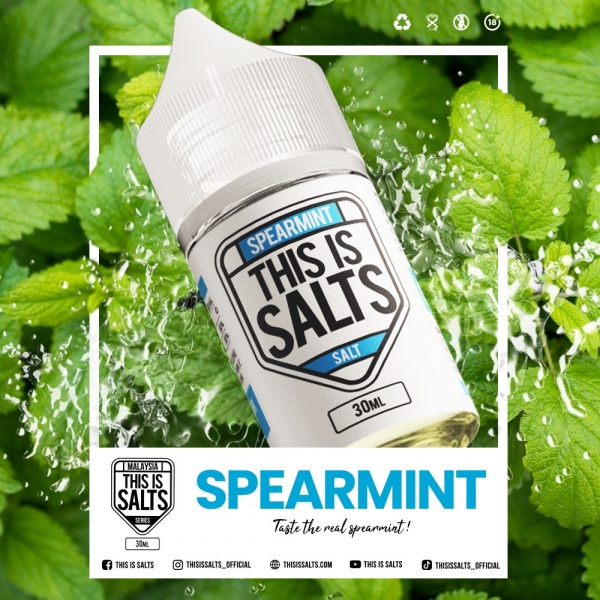 this_is_salts_30ml_spearmint